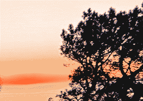 Dithered photo of a sunset over the sea behind a tree.